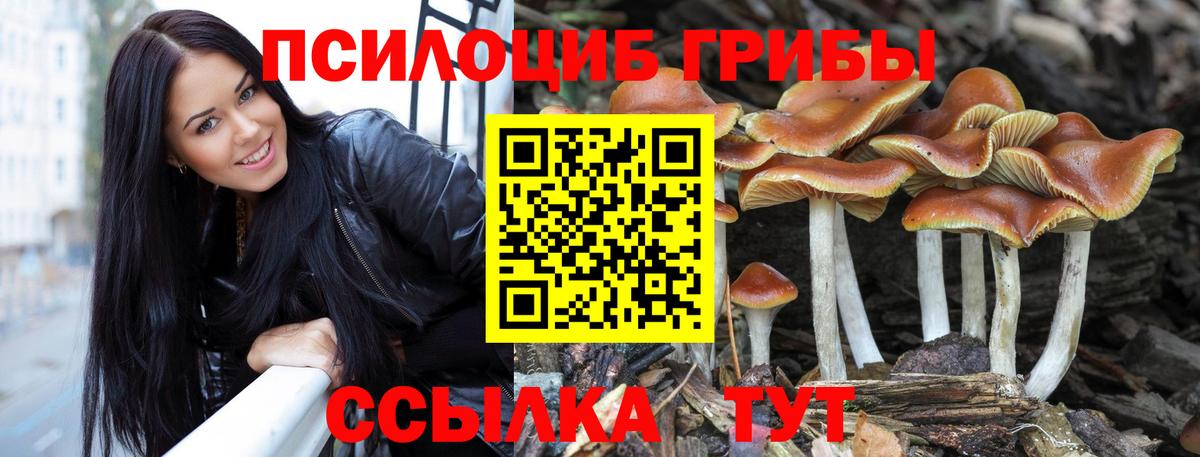 Псилоцибиновые грибы мицелий Киров